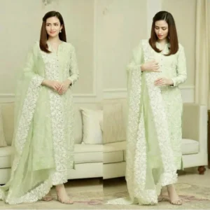 Blissta Embroidered New Salwar Suit